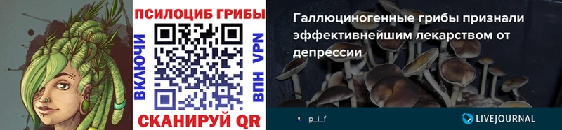 мега ссылка Красноярск Галлюциногенные грибы MAGIC MUSHROOMS где продают